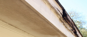 wood rotting on home